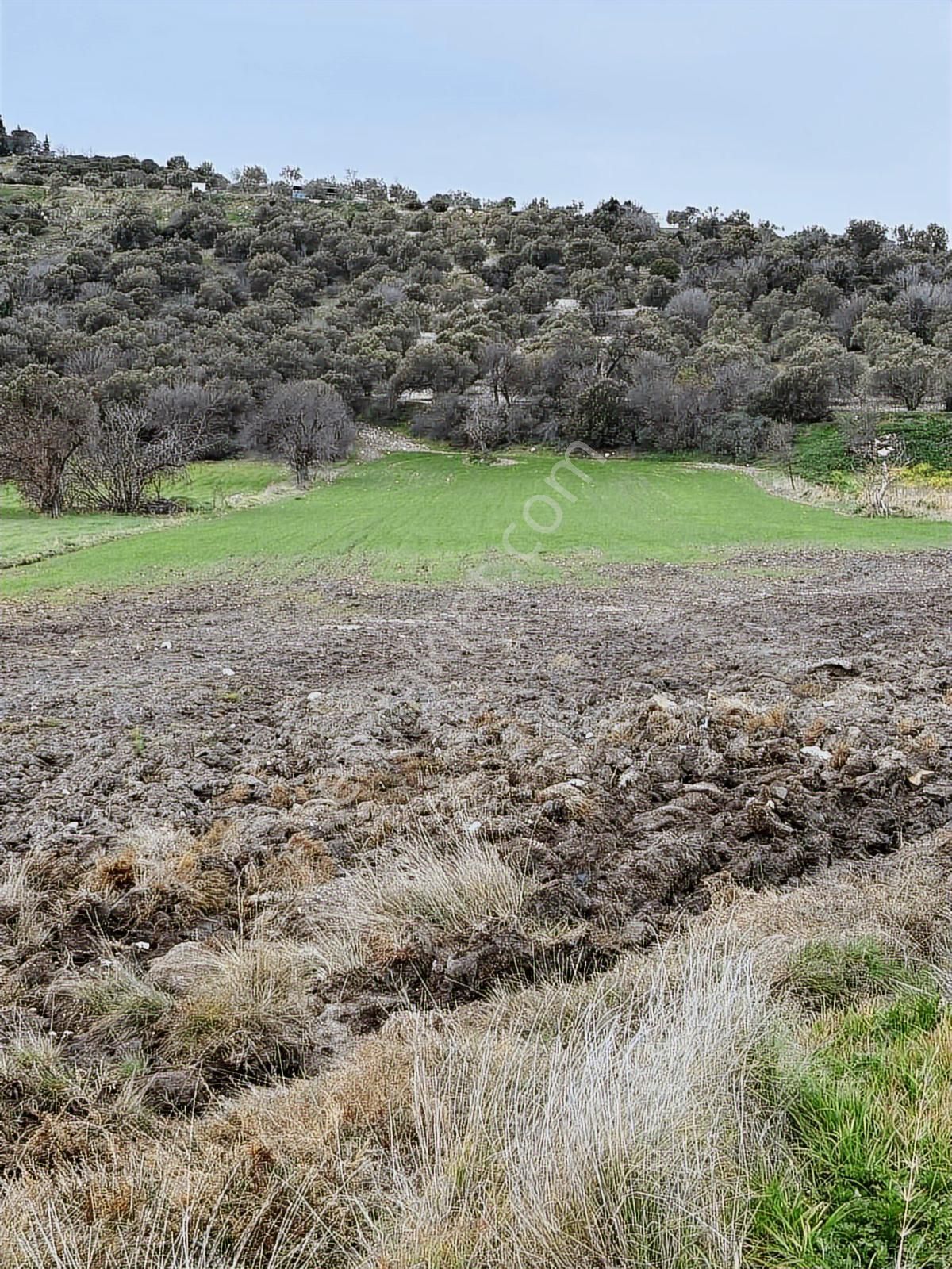 Aliağa Yat Tersanesi Ve Meslek Hastalıkları Hastanesi Yanı - Görsel 5