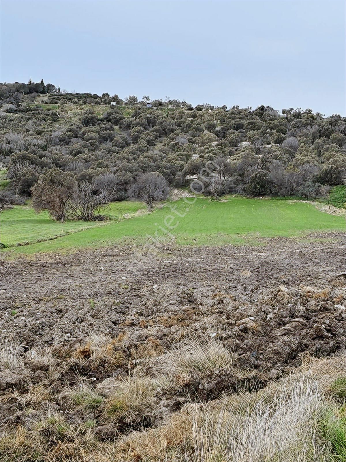 Aliağa Yat Tersanesi Ve Meslek Hastalıkları Hastanesi Yanı - Görsel 4