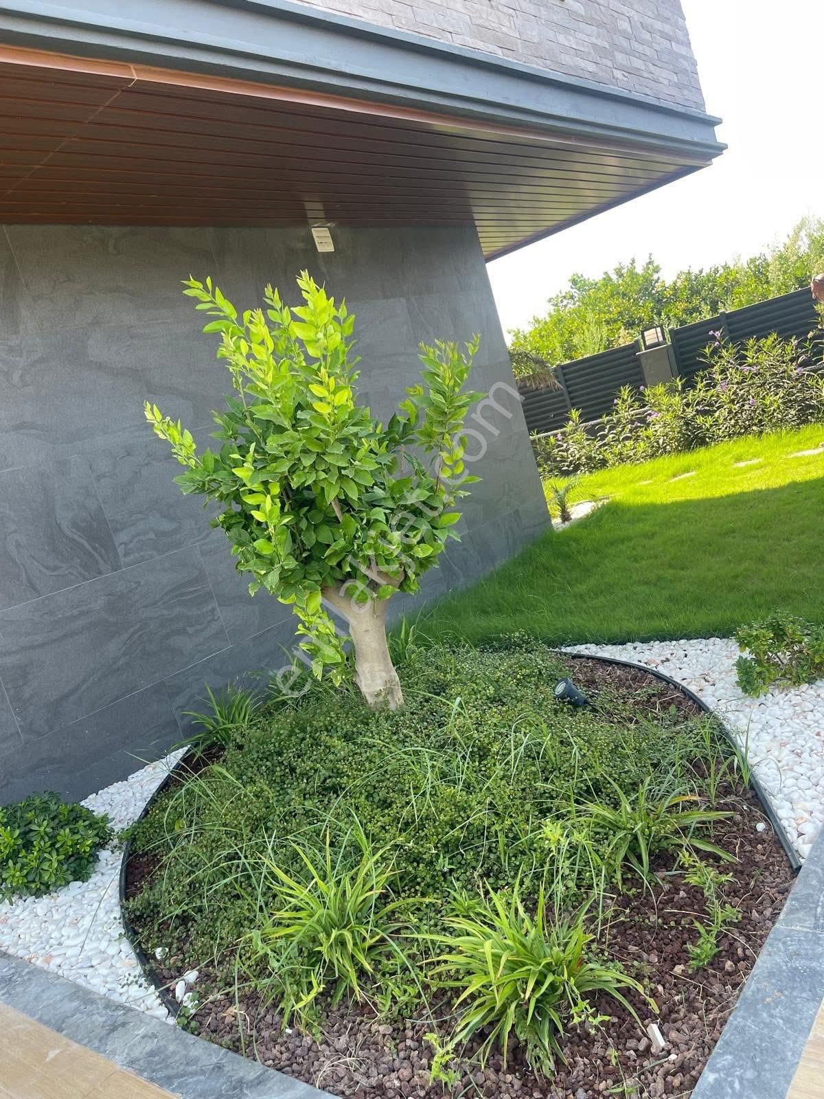 Kuşadası Güzelçamlı’da Muhteşem Malikane - Görsel 34