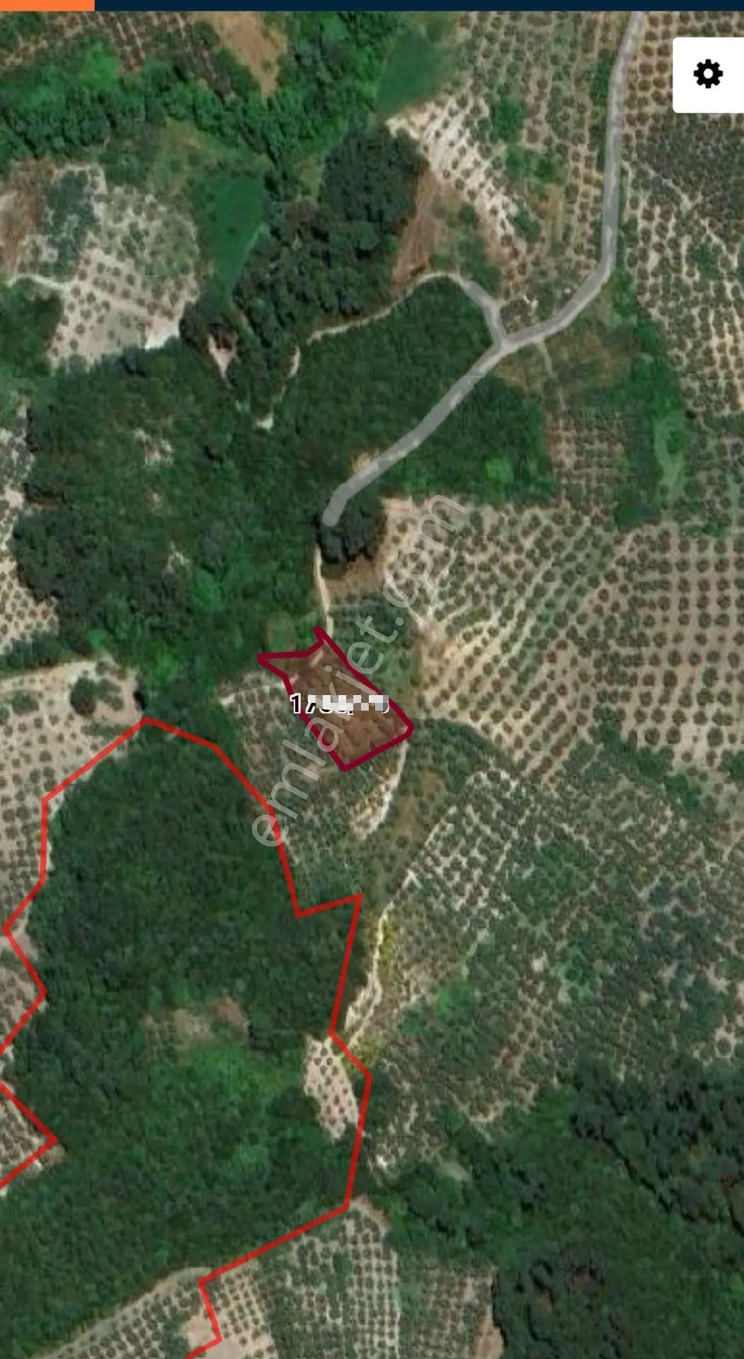 Ena Group Bursa Mudanya Işıklı'da 2000 M2 Satılık Bahçe