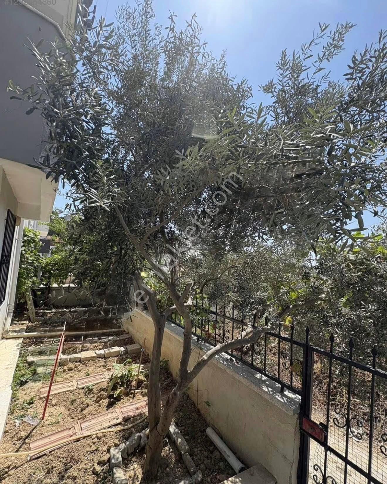 Kuşadası Kadınlar Denizi Mahallesi Satılık Lüks, Eşyalı Villa 9.500.000 - Görsel 7