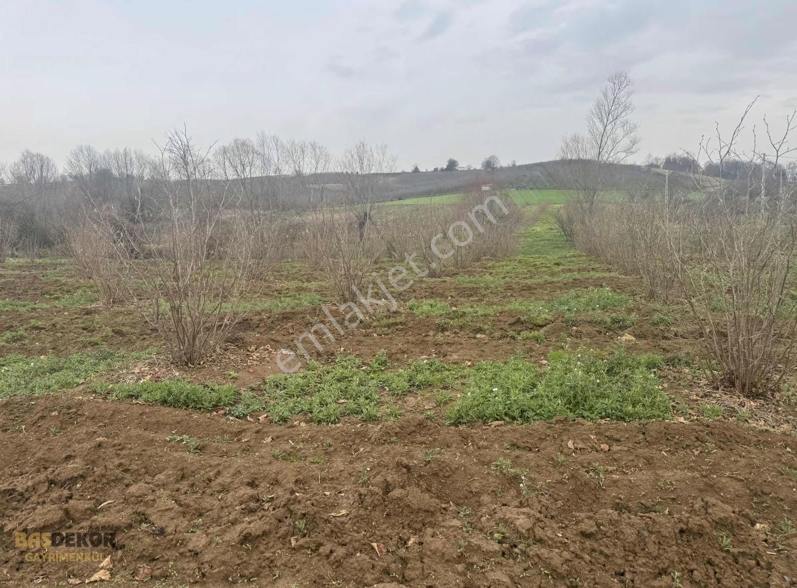 Başdekor Gayrimenkul'den Satılık Tarla Ferızlı Bakırlı'da - Görsel 7