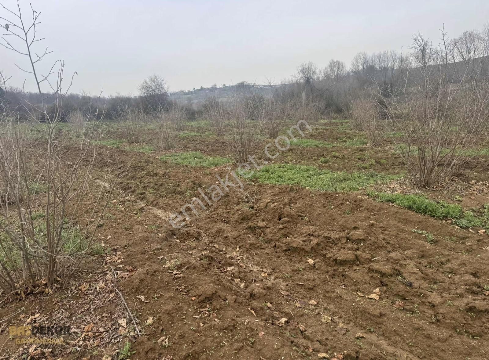 Başdekor Gayrimenkul'den Satılık Tarla Ferızlı Bakırlı'da - Görsel 9