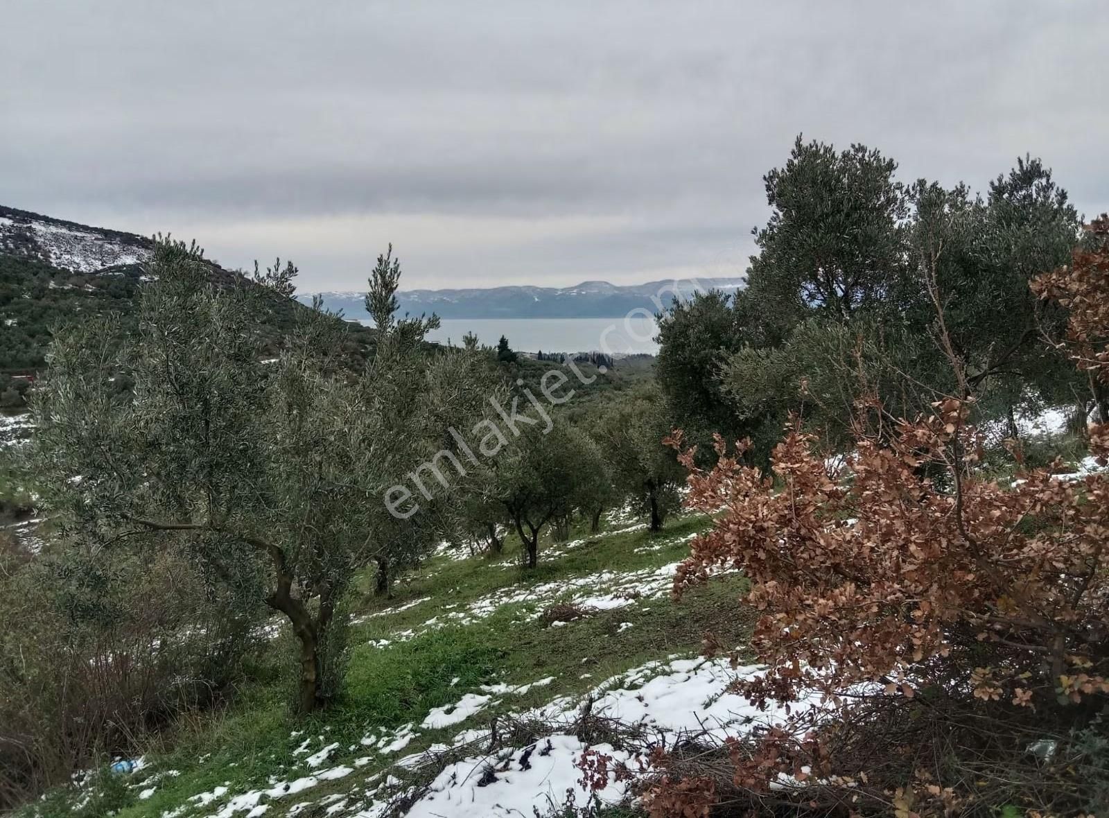 Bursa Emlak Alem-i Çakırlı Da Göl Manzaralı 3.434 M2 Satılık - Görsel 18