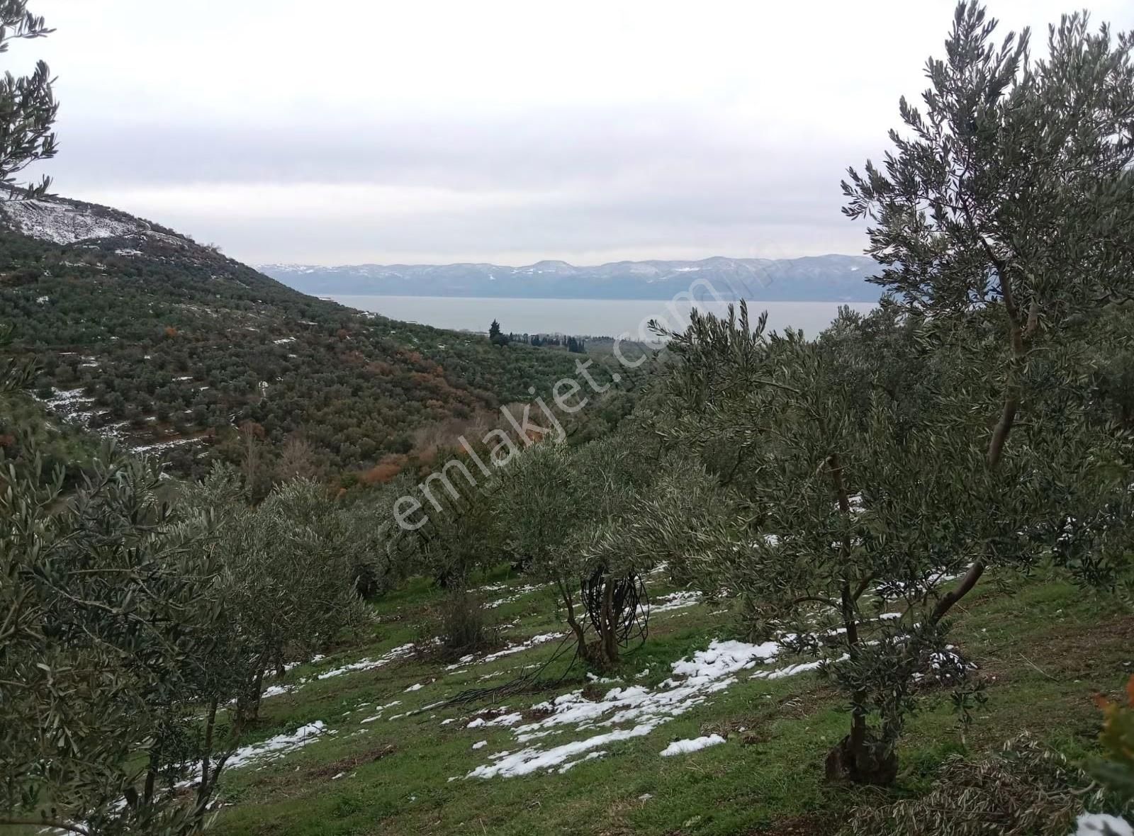 Bursa Emlak Alem-i Çakırlı Da Göl Manzaralı 3.434 M2 Satılık - Görsel 13
