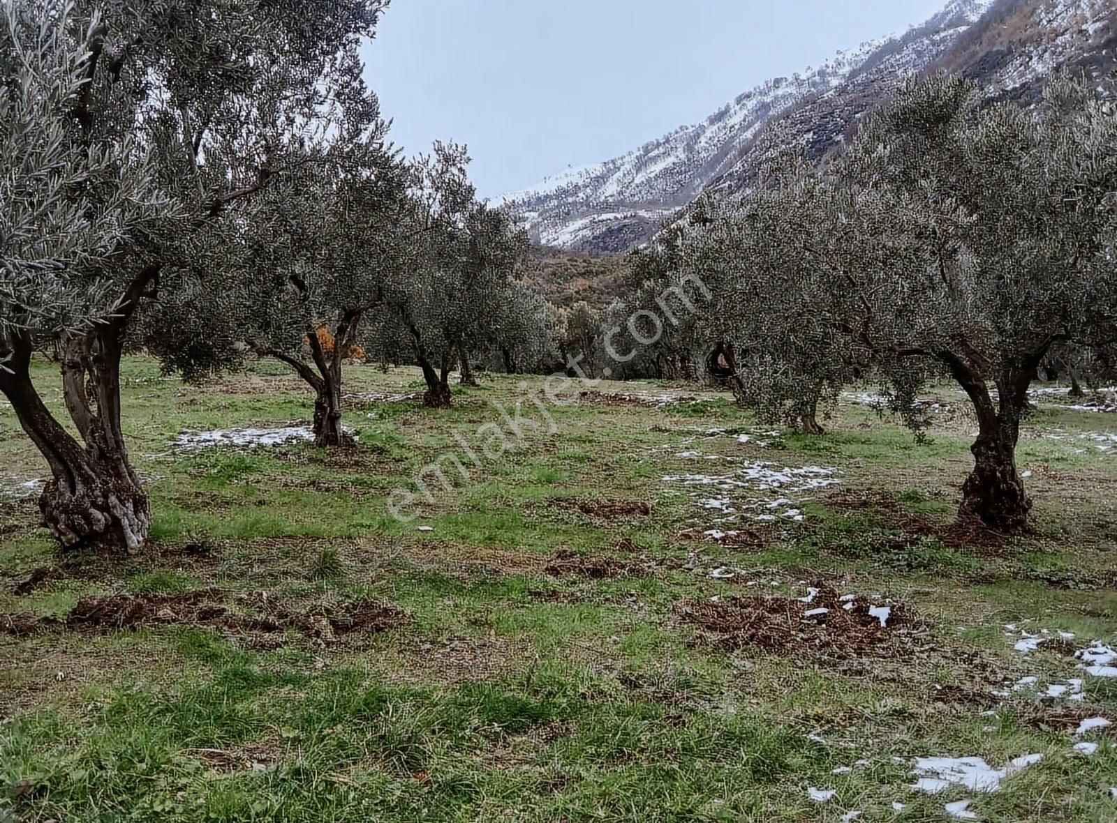 Bursa Emlak Alem-i Çakırlı Da Göl Manzaralı 3.434 M2 Satılık