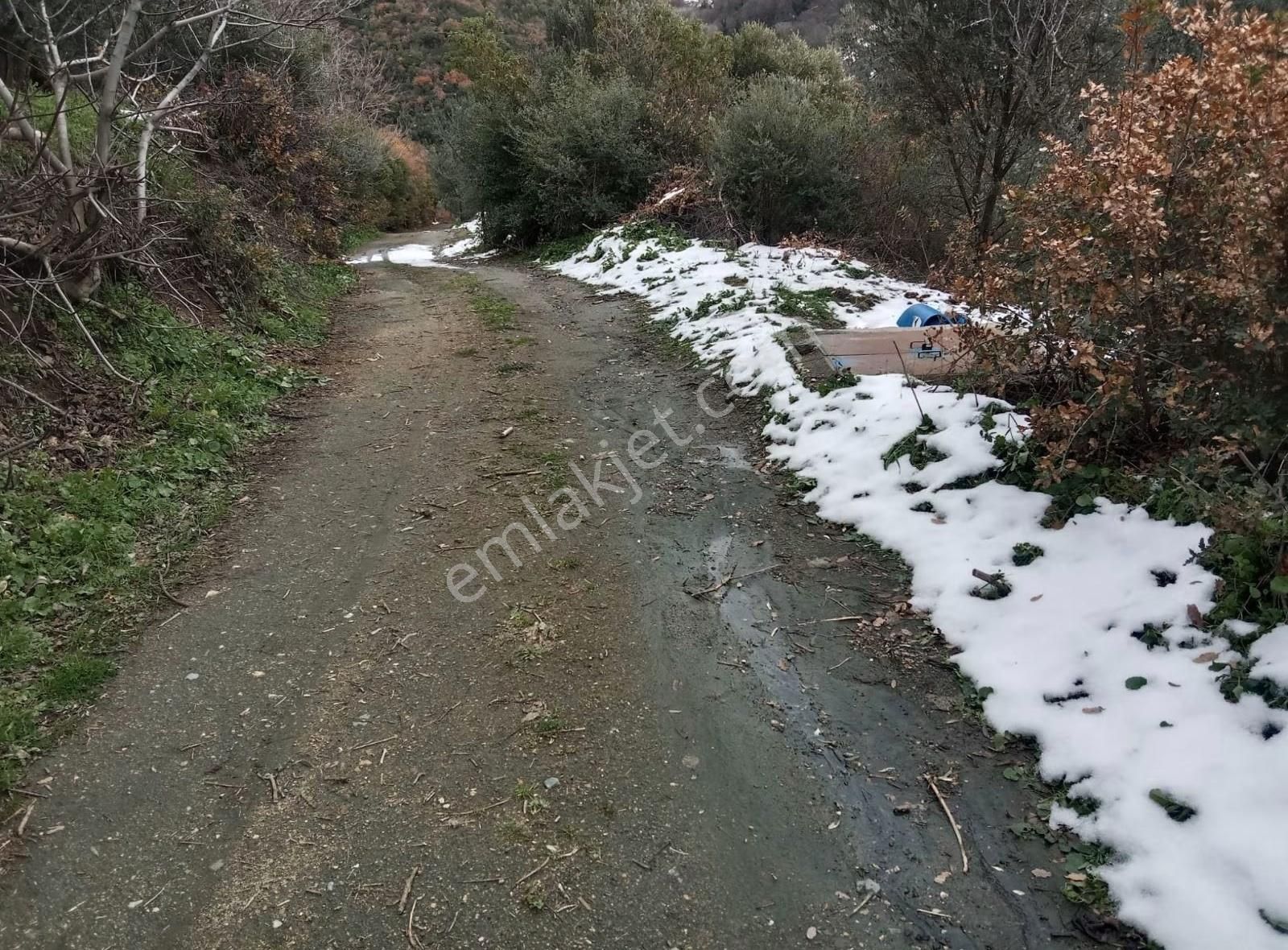 Bursa Emlak Alem-i Çakırlı Da Göl Manzaralı 3.434 M2 Satılık - Görsel 16