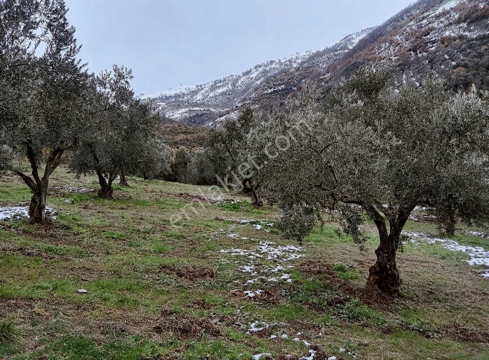 Bursa Emlak Alem-i Çakırlı Da Göl Manzaralı 3.434 M2 Satılık - Görsel 2