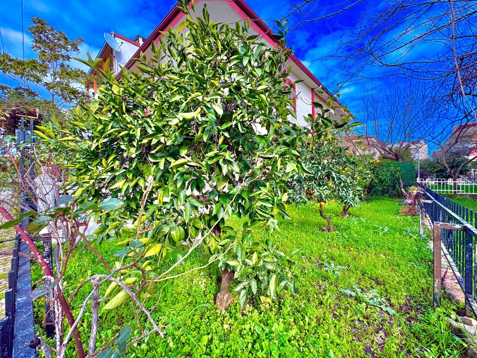 🏡 Referans'tan Doktorlar'da Müstakil Tadında 3+1 Daire