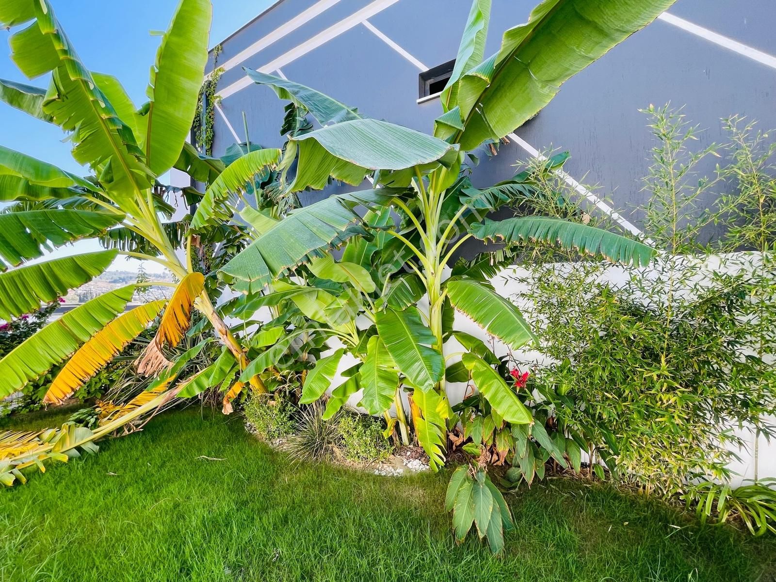 Ful Eşyalı, Lüks 4+2 Villa Özel Havuzlu Bahçeli Satılık Ev - Görsel 12