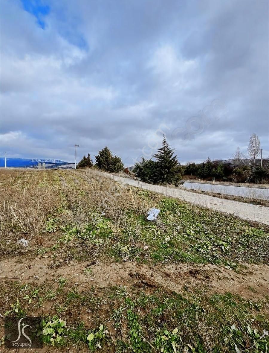 Denizli Tavas Sarıabat 0 Ada 183 Par 149m2 Tarla Müstakil Tapu