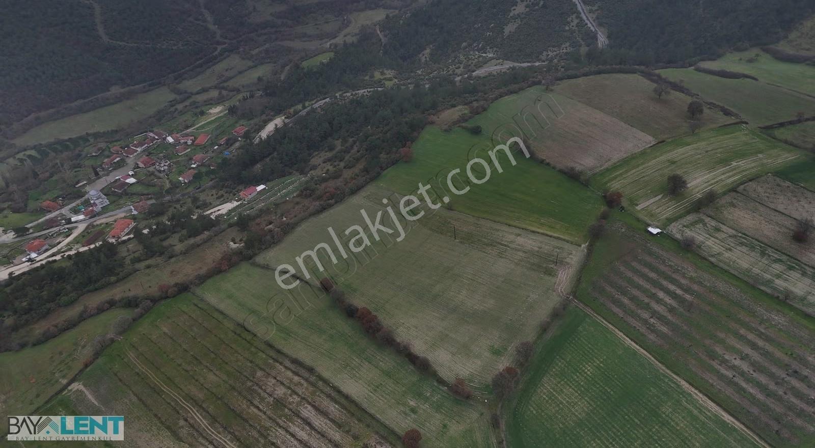 Altıeylül Sıvatpınar Köyü'nde 17.590 M² Asfalt Yola Yakın Arazi - Görsel 14