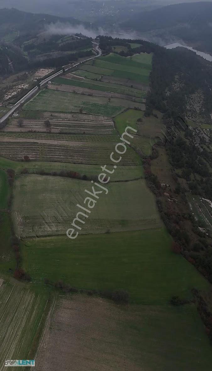 Altıeylül Sıvatpınar Köyü'nde 17.590 M² Asfalt Yola Yakın Arazi - Görsel 16