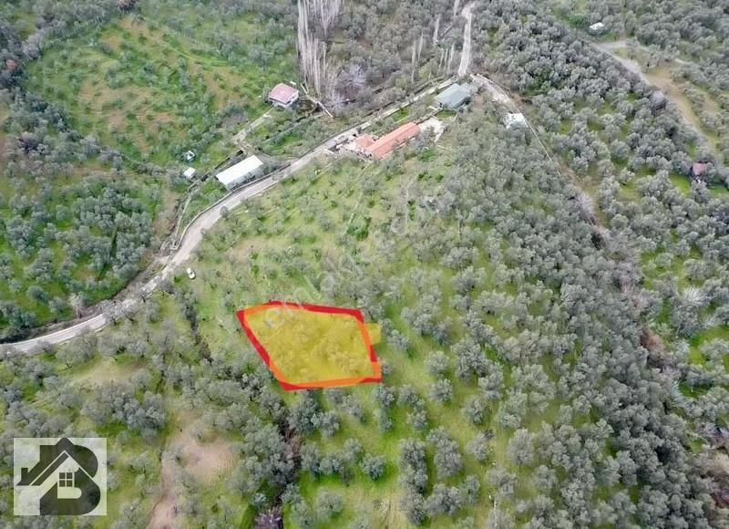 ⫸best Emlaktan⫷köyün Dibinde 1500m2 Asfalta 1 Parsel Zeytinlik - Görsel 23