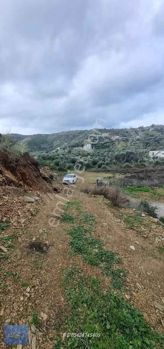 Bodrum Mazı 2.400m2 Hurma Sahili - Görsel 11