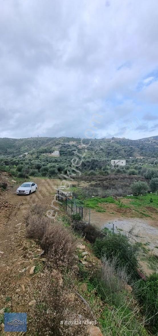 Bodrum Mazı 2.400m2 Hurma Sahili - Görsel 13