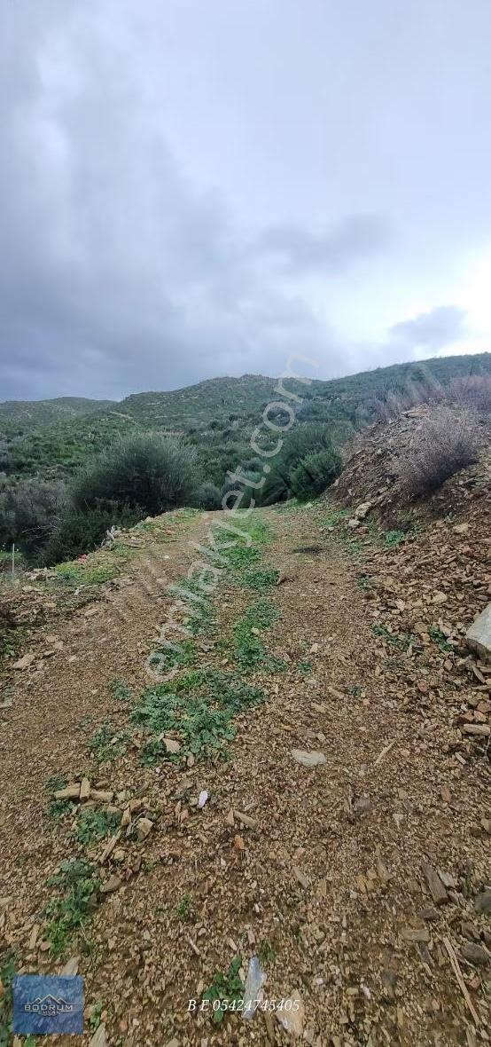 Bodrum Mazı 2.400m2 Hurma Sahili - Görsel 24