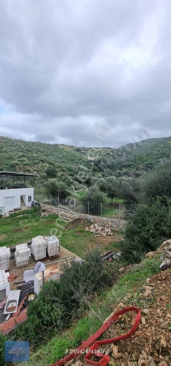 Bodrum Mazı 2.400m2 Hurma Sahili - Görsel 9
