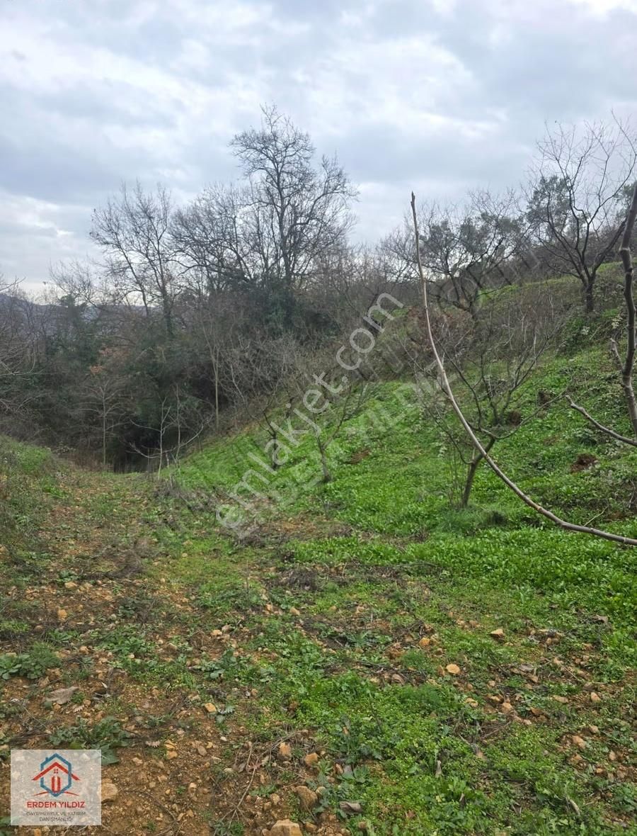 Erdem Yıldız'dan 2.658 M² Yatırımlık 2 Adet Müstakil Tapu Arazi - Görsel 33