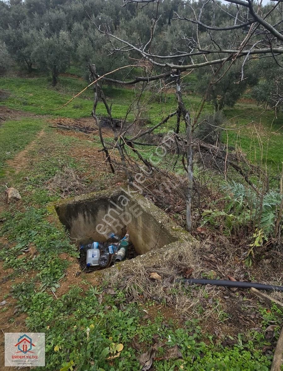 Erdem Yıldız'dan 2.658 M² Yatırımlık 2 Adet Müstakil Tapu Arazi - Görsel 2