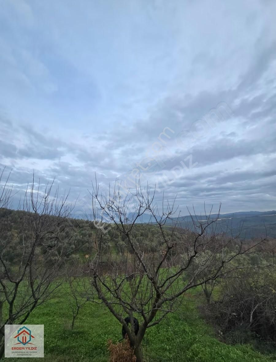 Erdem Yıldız'dan 2.658 M² Yatırımlık 2 Adet Müstakil Tapu Arazi - Görsel 25