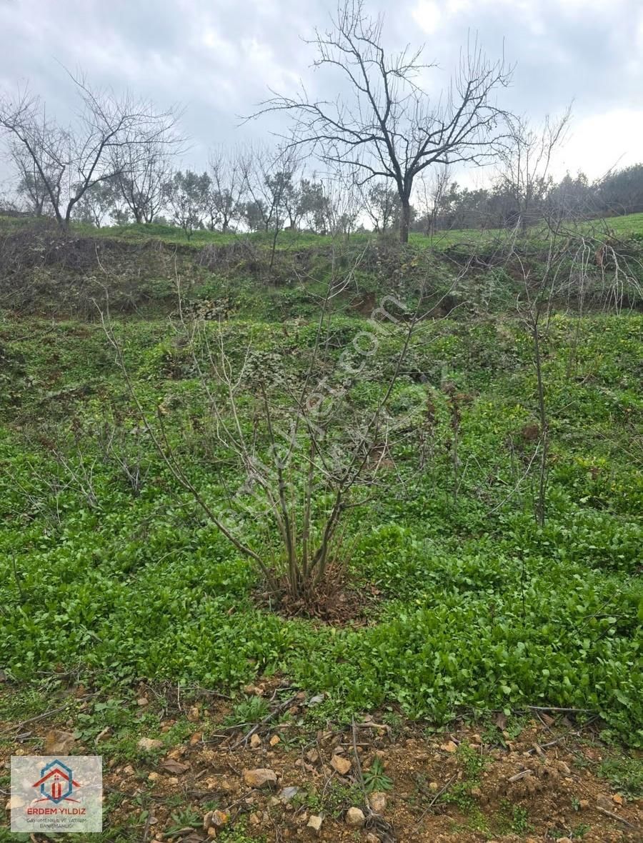 Erdem Yıldız'dan 2.658 M² Yatırımlık 2 Adet Müstakil Tapu Arazi - Görsel 19