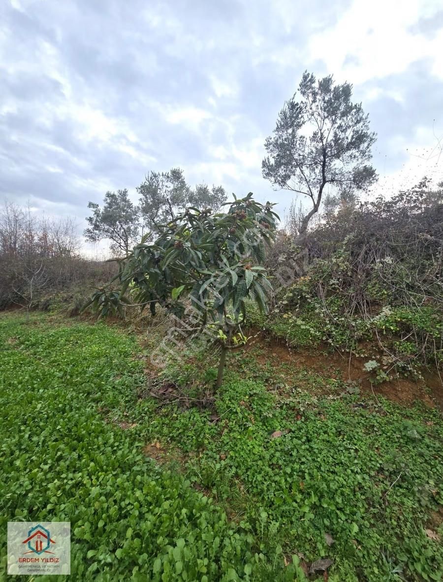 Erdem Yıldız'dan 2.658 M² Yatırımlık 2 Adet Müstakil Tapu Arazi - Görsel 21
