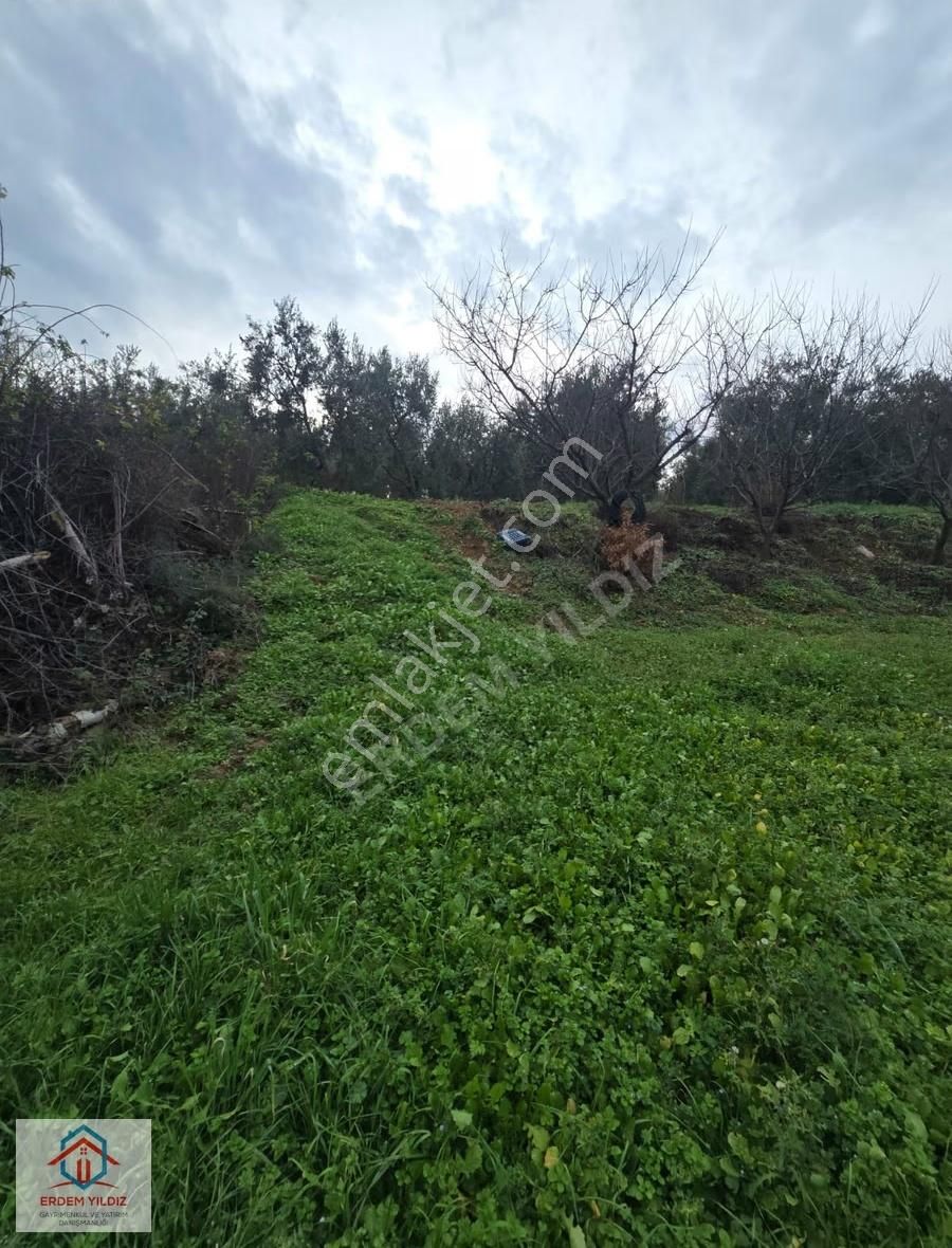 Erdem Yıldız'dan 2.658 M² Yatırımlık 2 Adet Müstakil Tapu Arazi - Görsel 17