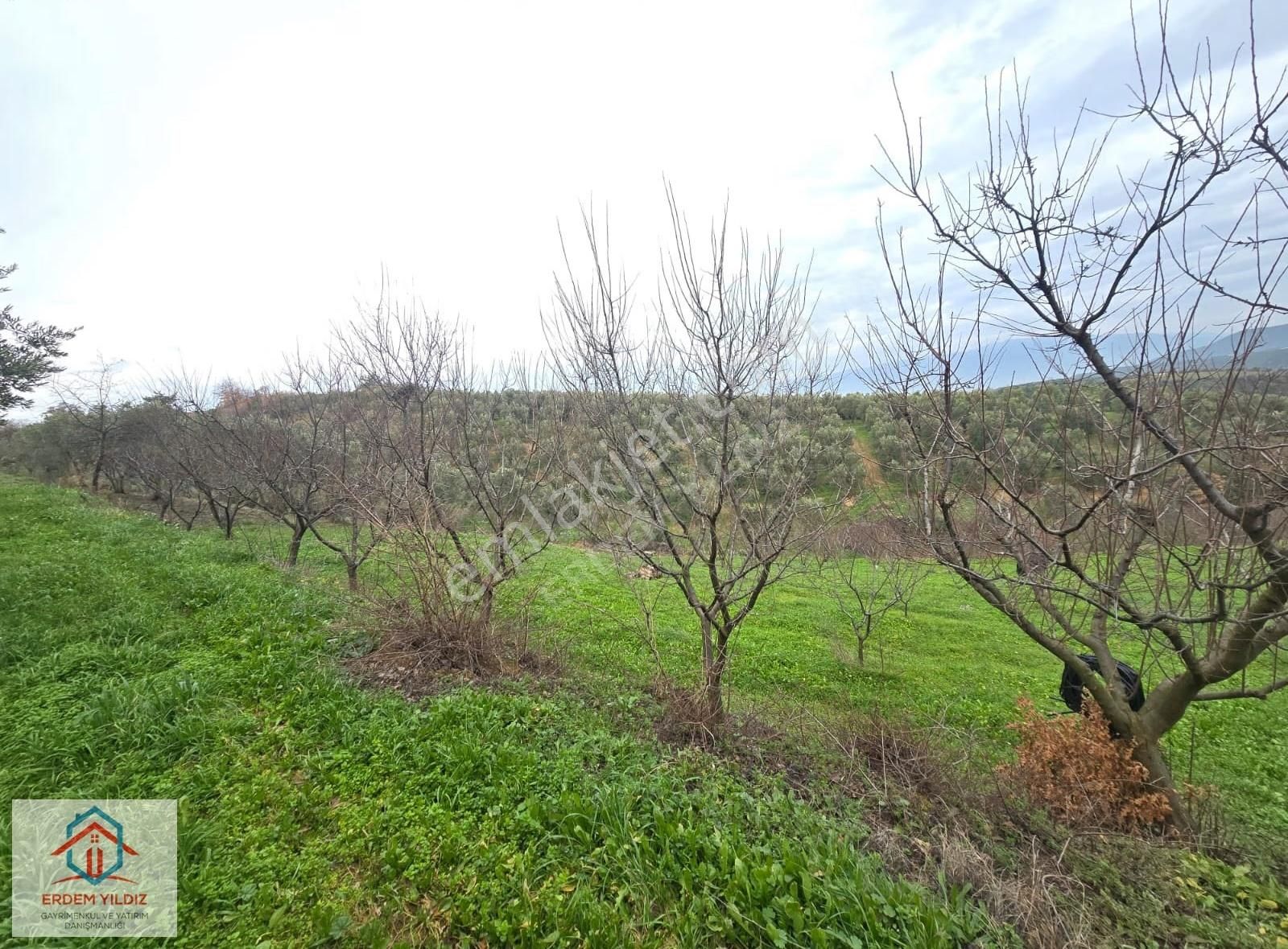 Erdem Yıldız'dan 2.658 M² Yatırımlık 2 Adet Müstakil Tapu Arazi