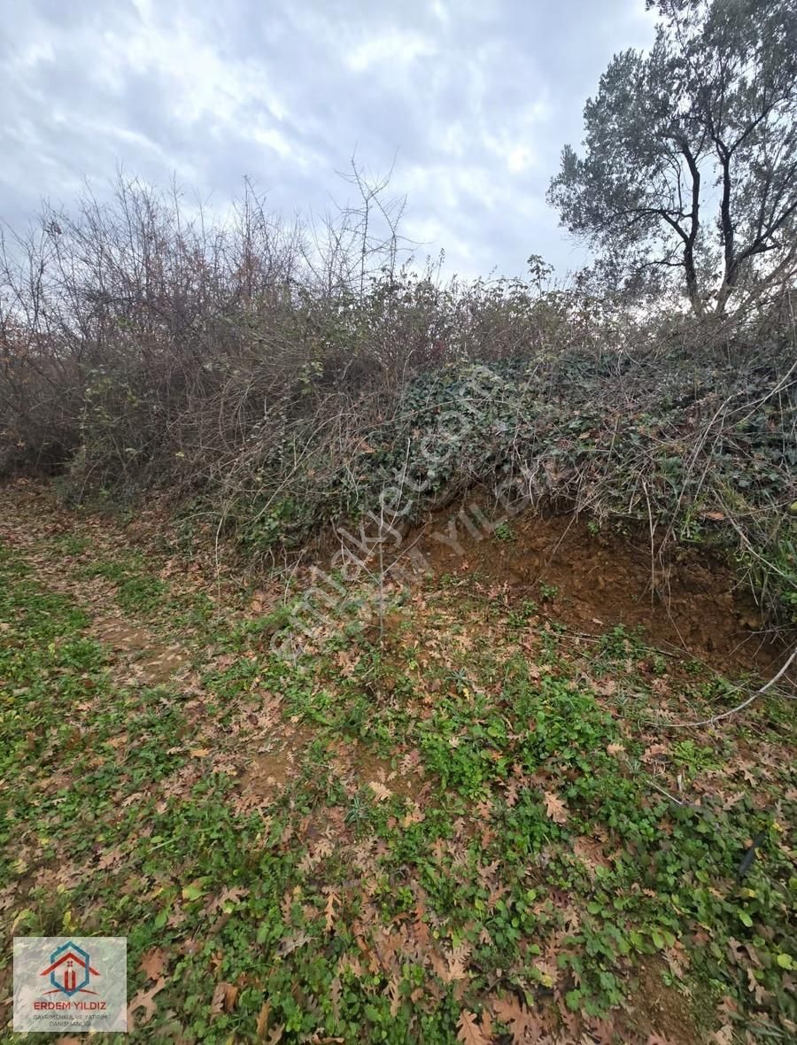 Erdem Yıldız'dan 2.658 M² Yatırımlık 2 Adet Müstakil Tapu Arazi - Görsel 13