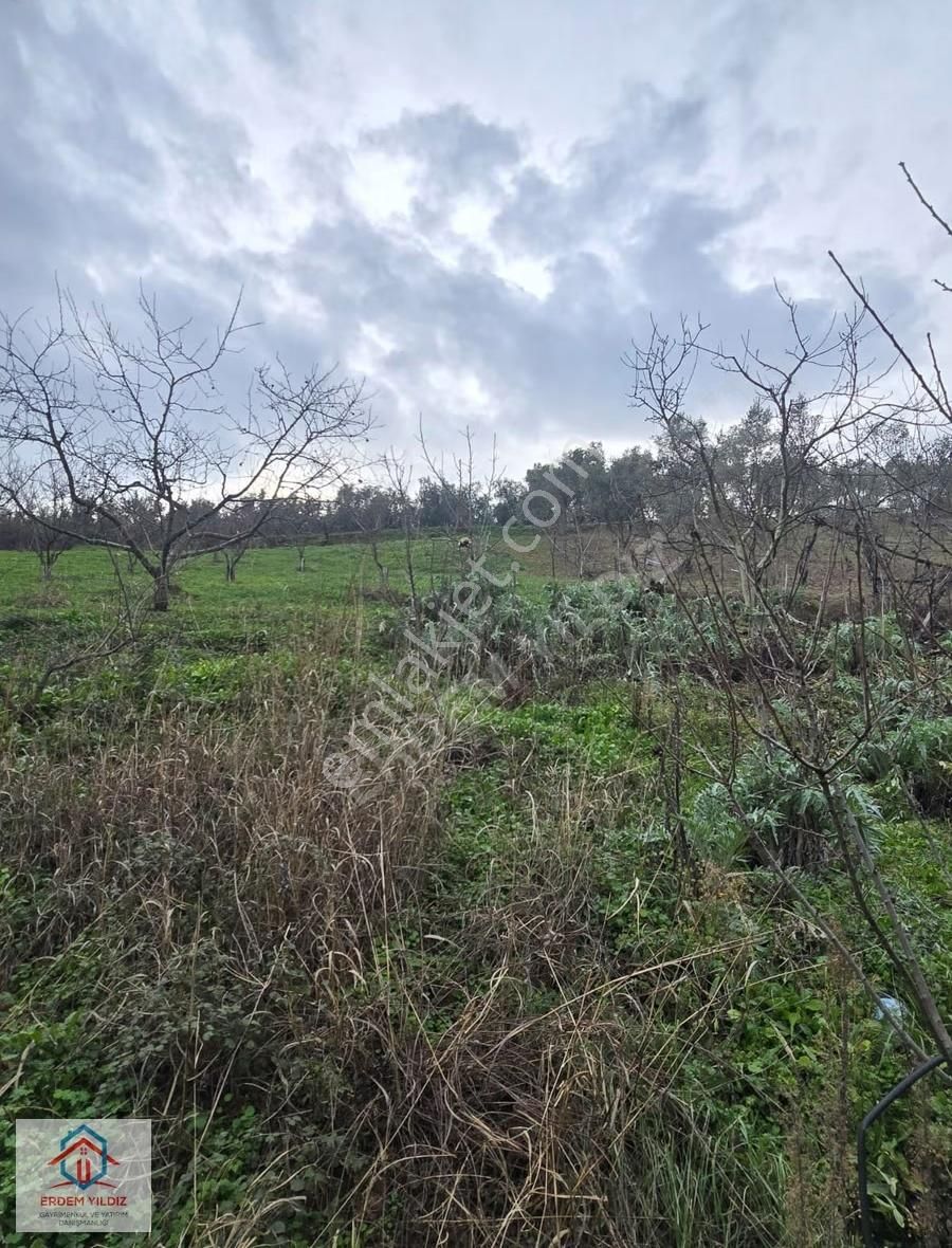 Erdem Yıldız'dan 2.658 M² Yatırımlık 2 Adet Müstakil Tapu Arazi - Görsel 5