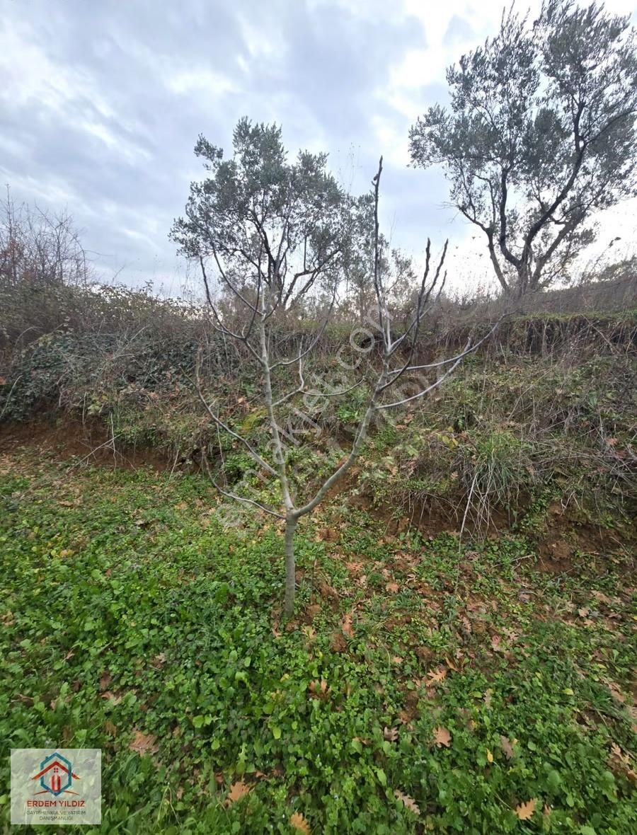 Erdem Yıldız'dan 2.658 M² Yatırımlık 2 Adet Müstakil Tapu Arazi - Görsel 16