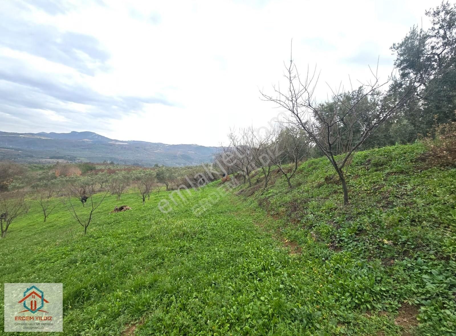 Erdem Yıldız'dan 2.658 M² Yatırımlık 2 Adet Müstakil Tapu Arazi - Görsel 18