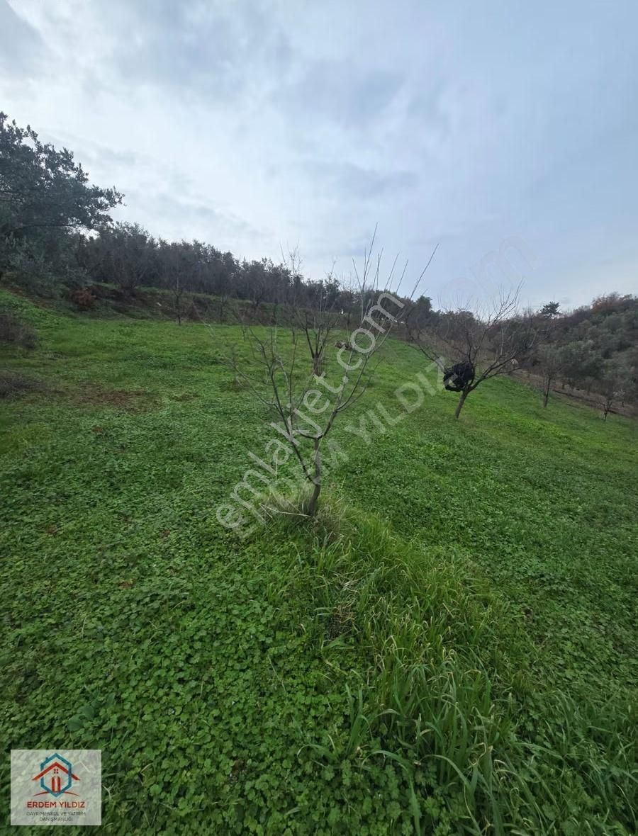 Erdem Yıldız'dan 2.658 M² Yatırımlık 2 Adet Müstakil Tapu Arazi - Görsel 24