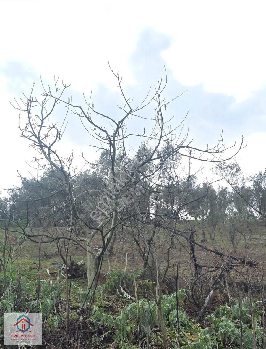 Erdem Yıldız'dan 2.658 M² Yatırımlık 2 Adet Müstakil Tapu Arazi - Görsel 7