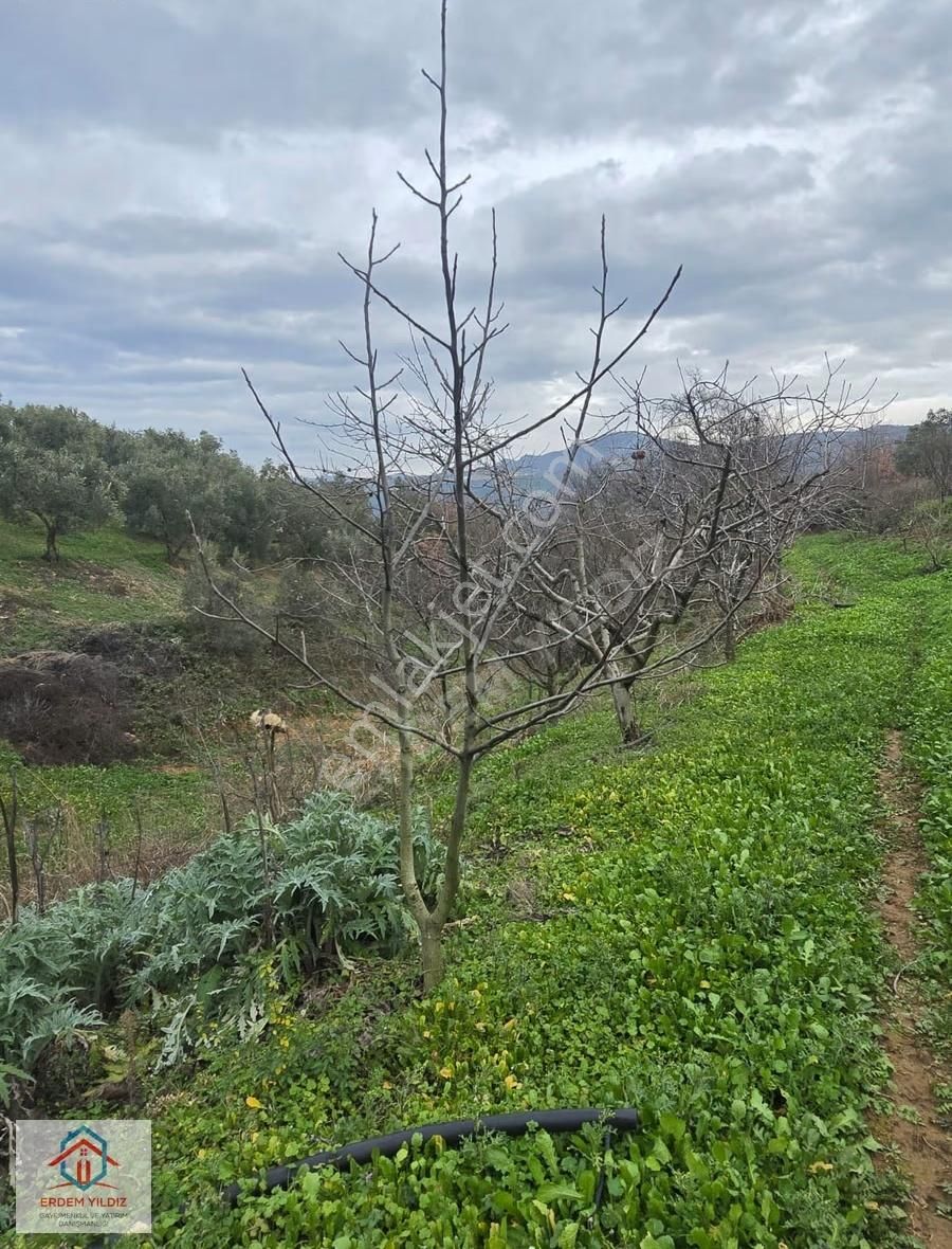 Erdem Yıldız'dan 2.658 M² Yatırımlık 2 Adet Müstakil Tapu Arazi - Görsel 6