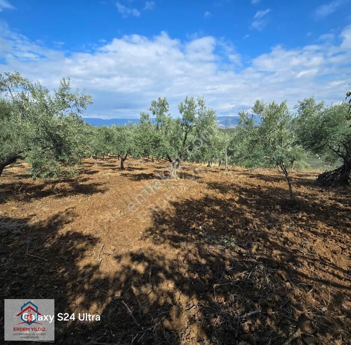 Erdem Yıldız'dan İznik Aydınlar 1.950 M² Fırsat Tek Tapu Tarla