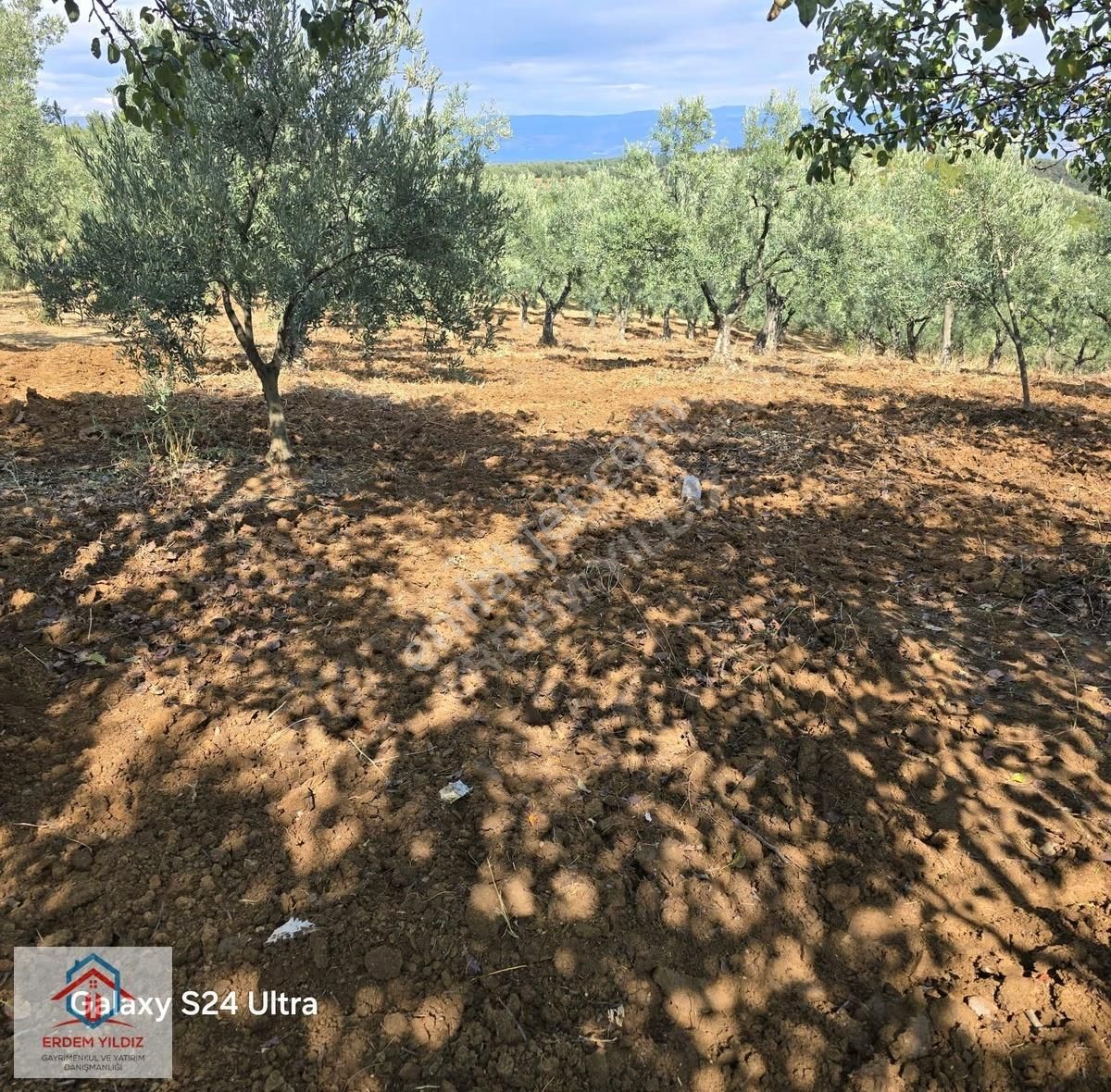 Erdem Yıldız'dan İznik Aydınlar 1.950 M² Fırsat Tek Tapu Tarla - Görsel 9