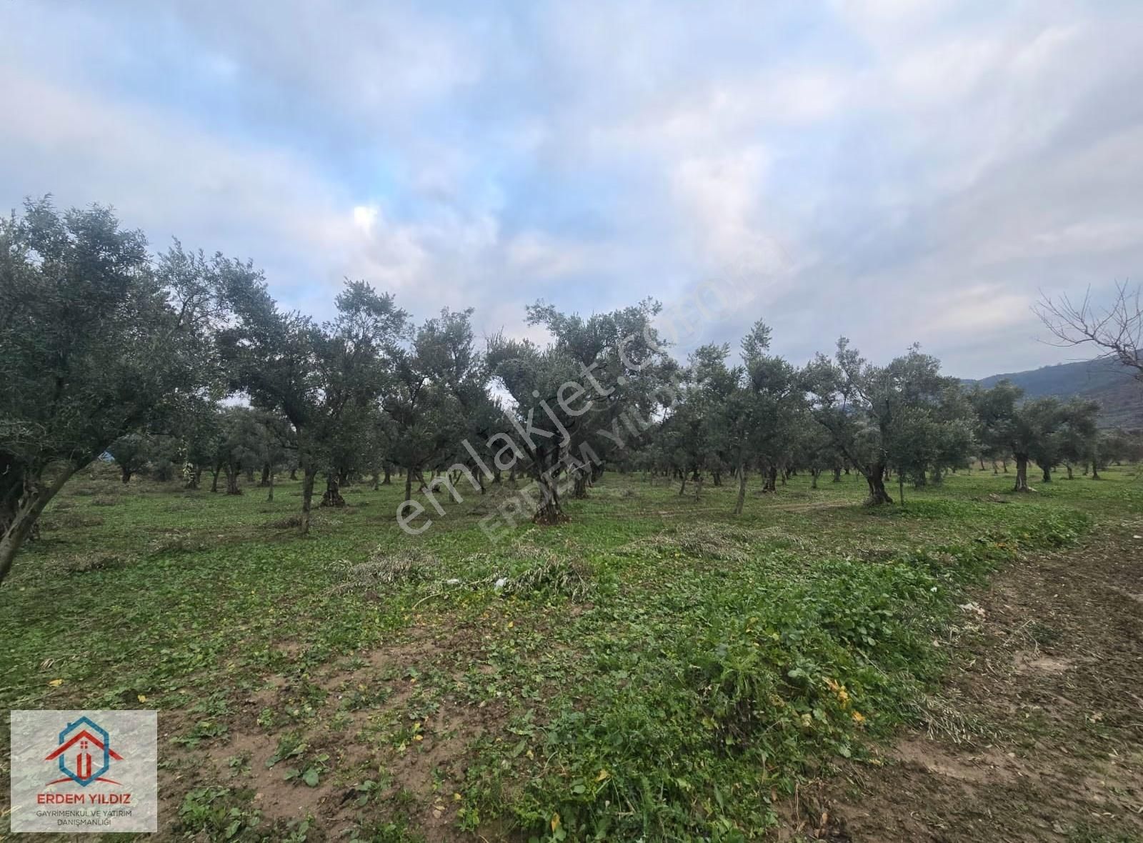 Erdem Yıldız'dan Bursa İznik'te Fırsat 9.034 M² Bağ Ve Zeytinlik - Görsel 7