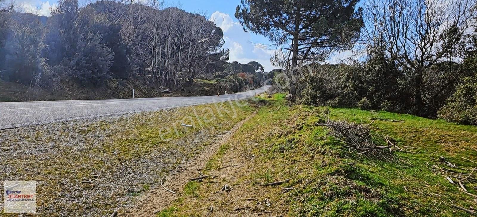 Ayvalık Yolu Üzeri Tınny Hause Uygun Arazi (1199 M2) - Görsel 2