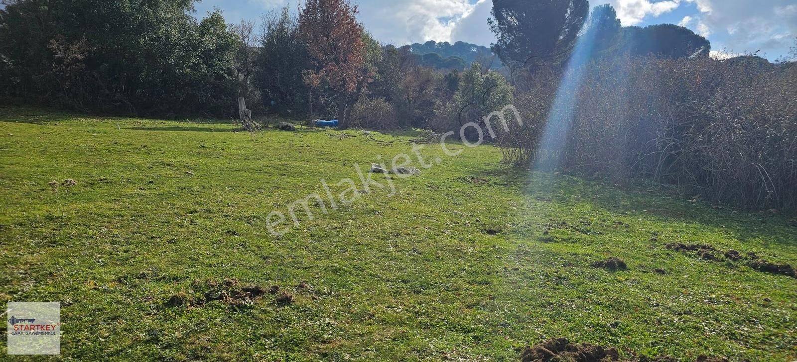 Ayvalık Yolu Üzeri Tınny Hause Uygun Arazi (1199 M2) - Görsel 15