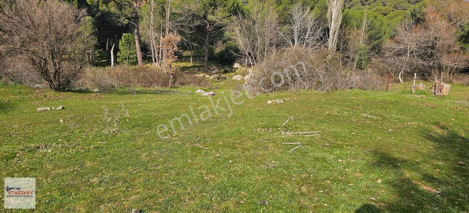 Ayvalık Yolu Üzeri Tınny Hause Uygun Arazi (1199 M2) - Görsel 11