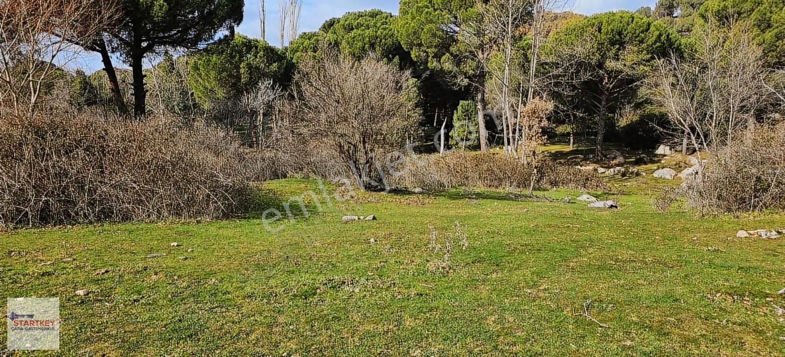 Ayvalık Yolu Üzeri Tınny Hause Uygun Arazi (1199 M2) - Görsel 3