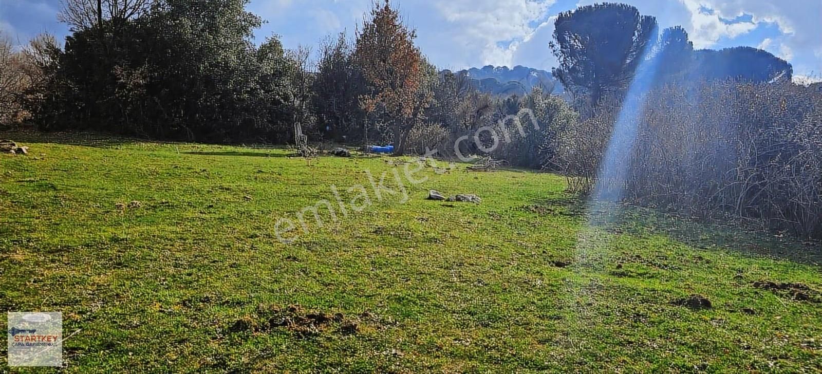 Ayvalık Yolu Üzeri Tınny Hause Uygun Arazi (1199 M2) - Görsel 5
