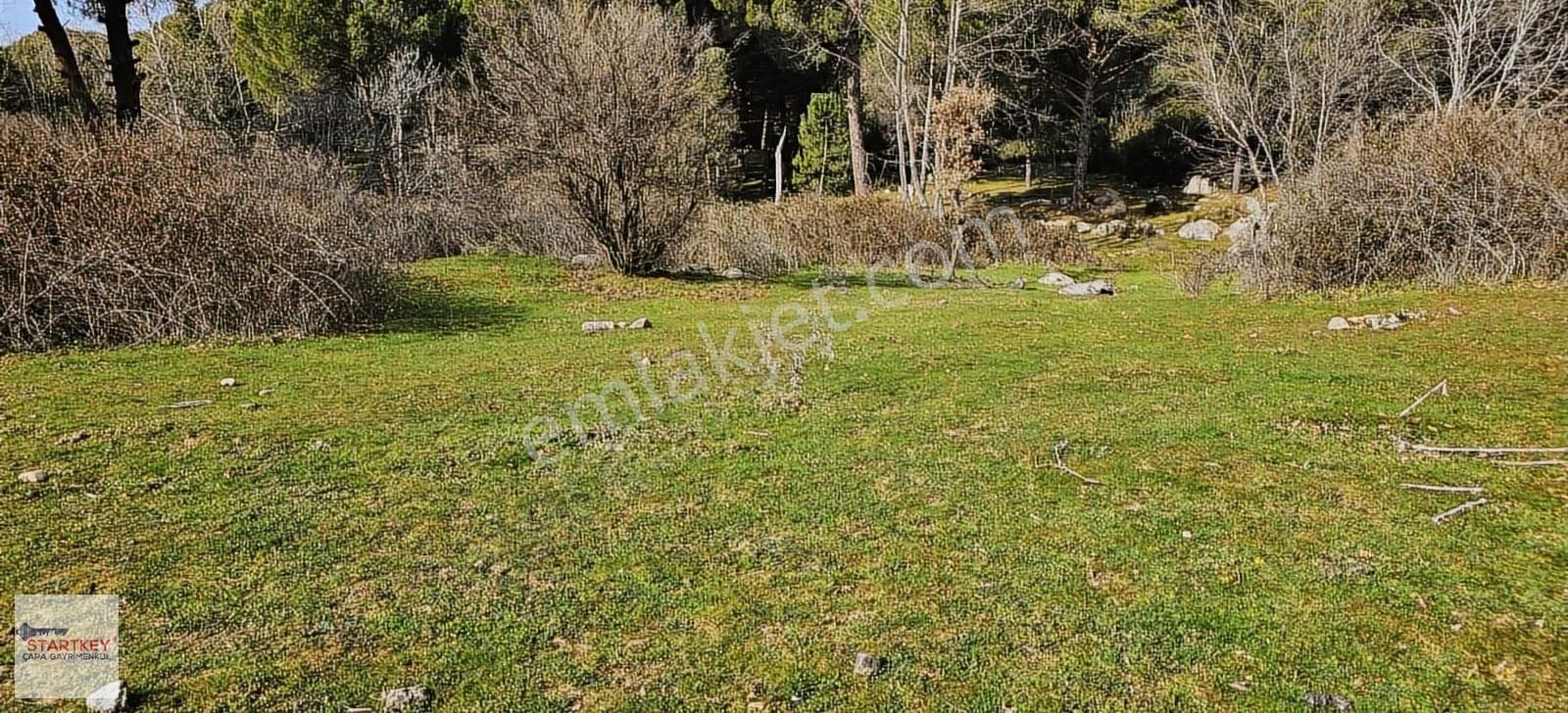 Ayvalık Yolu Üzeri Tınny Hause Uygun Arazi (1199 M2) - Görsel 9