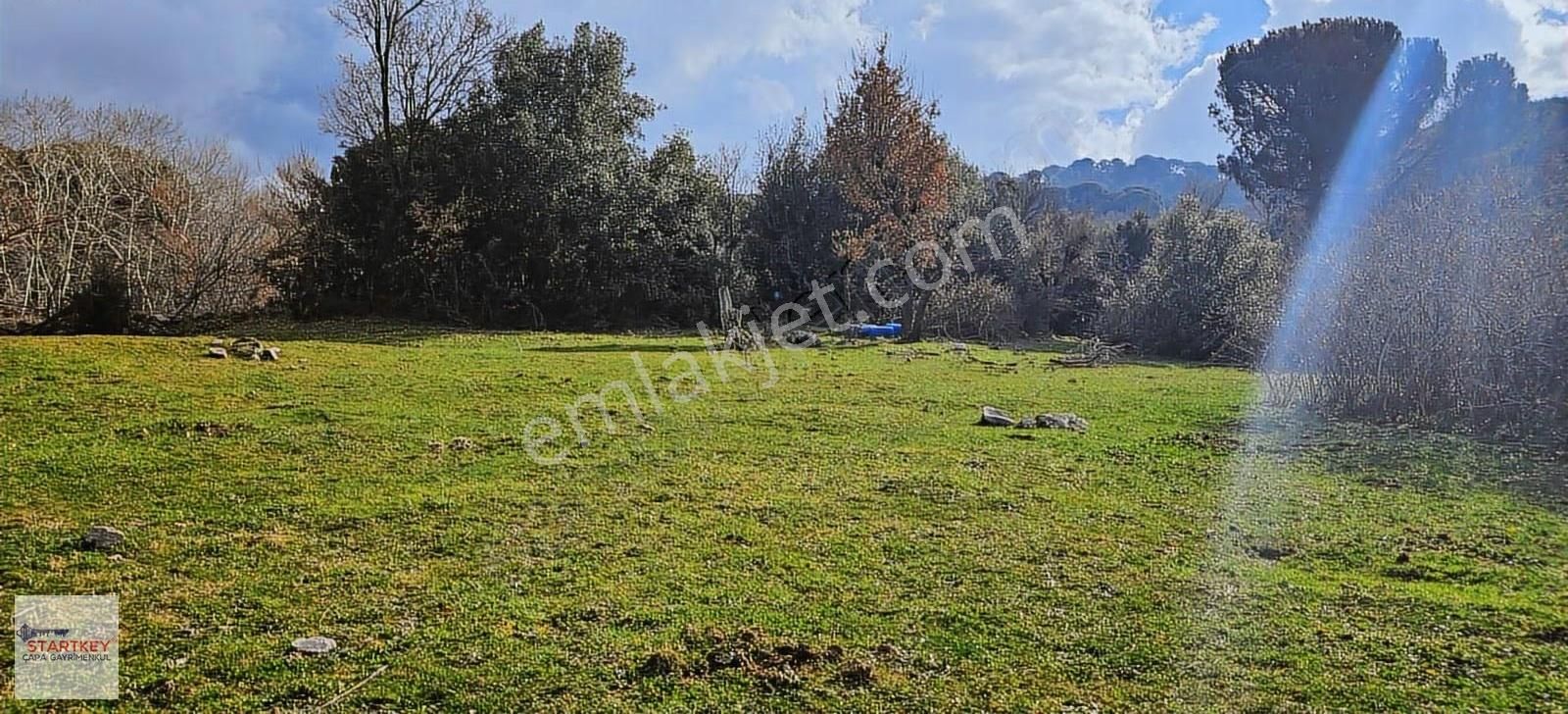 Ayvalık Yolu Üzeri Tınny Hause Uygun Arazi (1199 M2)