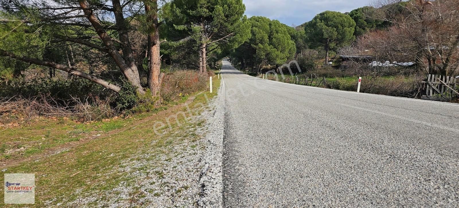 Ayvalık Yolu Üzeri Tınny Hause Uygun Arazi (1199 M2) - Görsel 4