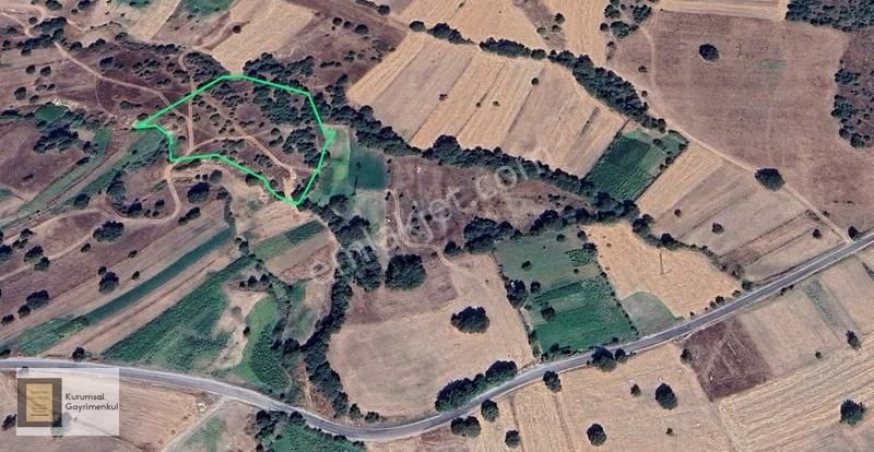 Orhaneli Yenidanişment Köyü Satılık Tarla - Görsel 9