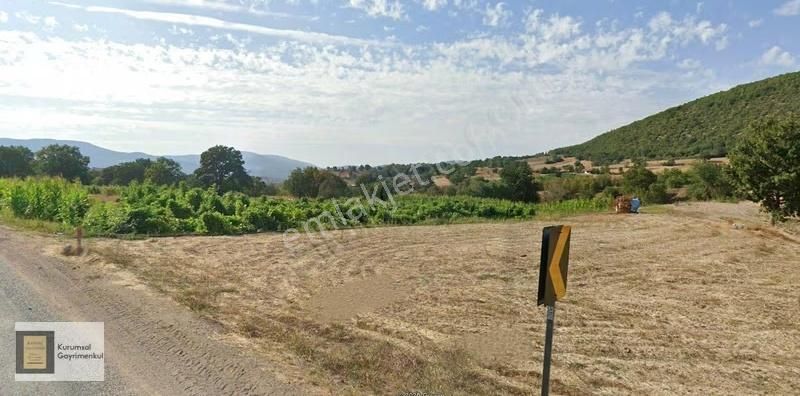 Orhaneli Yenidanişment Köyü Satılık Tarla - Görsel 5