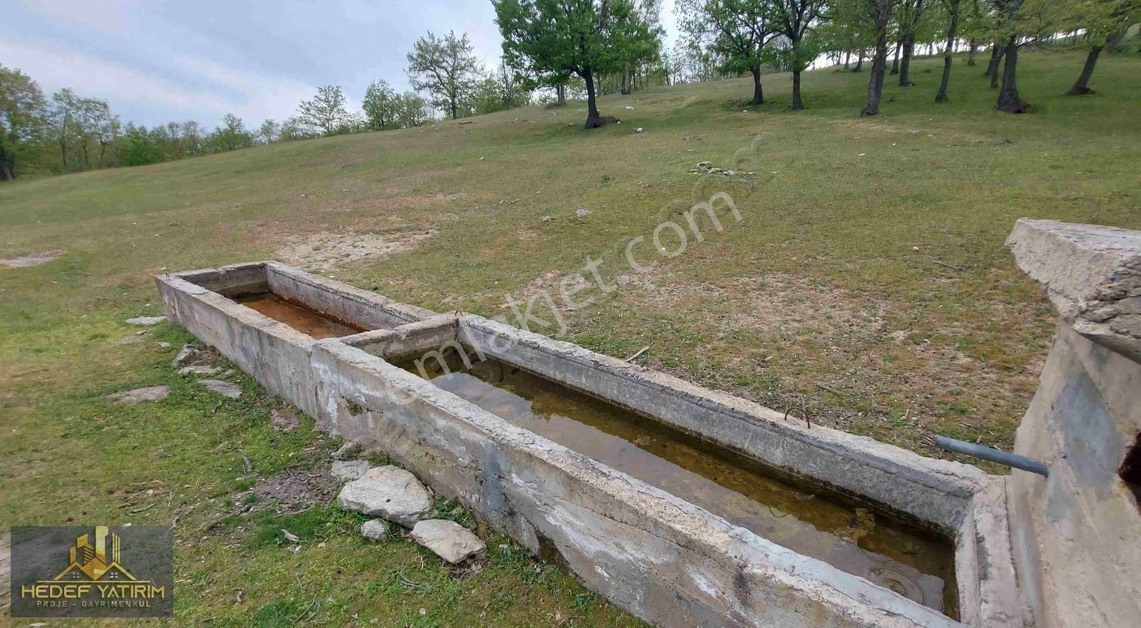 İşte Yatırım Fırsatı Su-yol Var Tektapu Arazi [ 2.061 M2 ] - Görsel 5